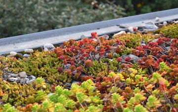 the cost of Lyness green roof installation