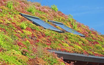 Lyness living roof systems